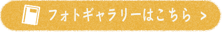 フォトギャラリーはこちら