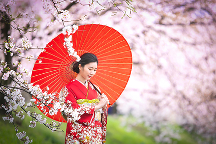 京都ロケ成人式前撮り6桜傘